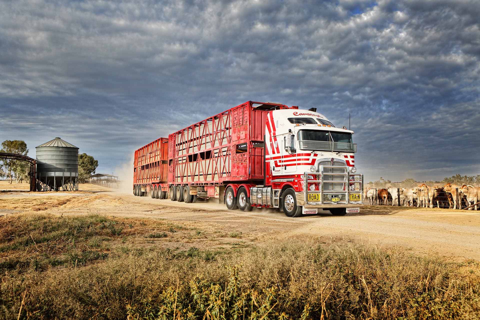 Cavanaghs Stockmaster Livestock Transportation Solutions